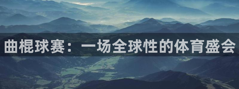  曲棍球赛：一场全球性的体育盛会