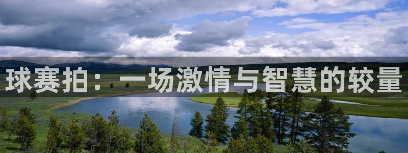 江南JN体育APP最新版本更新内容：球赛拍：一场激情与智慧的