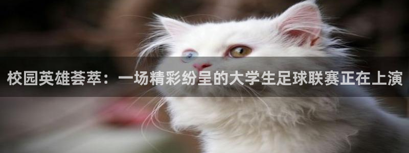  jn江南·体育网页版：校园英雄荟萃：一场精彩纷呈的大学生足球