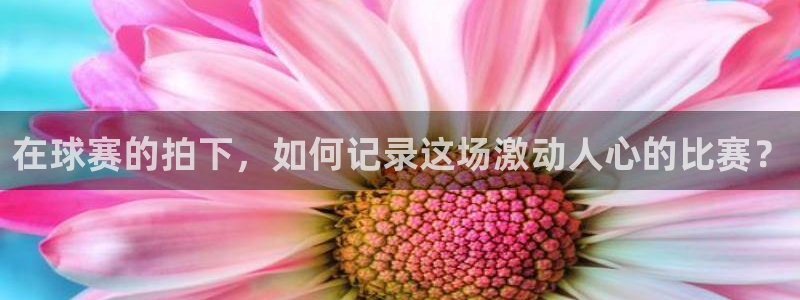  江南jn体育官网入口：在球赛的拍下，如何记录这场激动人心的比