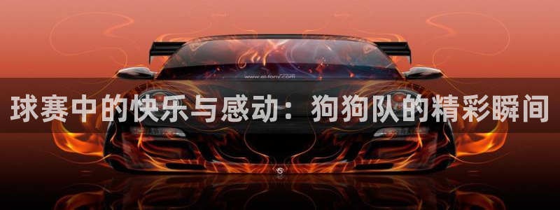 jn江南·体育官网：球赛中的快乐与感动：狗狗队的精彩瞬间