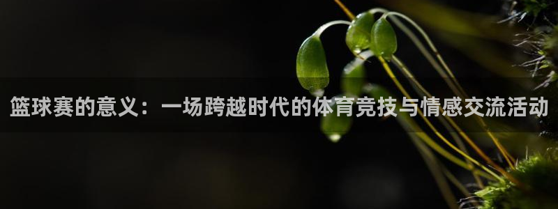 江南jn体育官网入口：篮球赛的意义：一场跨越时代的体育竞技与
