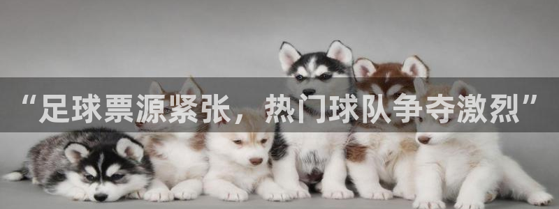  江南JN体育APP最新版本更新内容：“足球票源紧张，热门球队