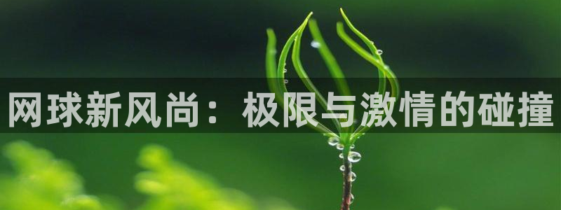  江南jn体育官方网：网球新风尚：极限与激情的碰撞