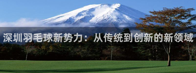  jn江南·体育最新官网入口：深圳羽毛球新势力：从传统到创新的