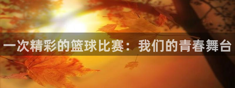 江南JN体育APP最新版本更新内容：一次精彩的篮球比赛：我们