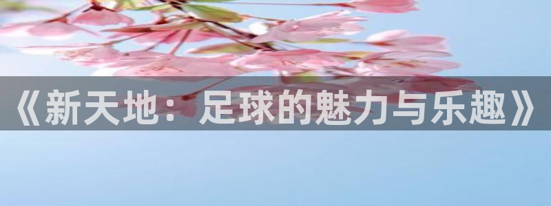 江南娱乐jn平台下载：《新天地：足球的魅力与乐趣》