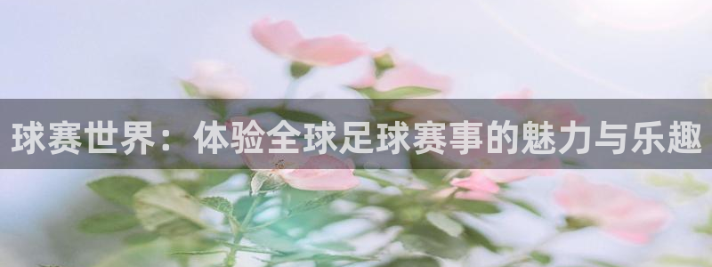  江南jn体育官方网站：球赛世界：体验全球足球赛事的魅力与乐趣