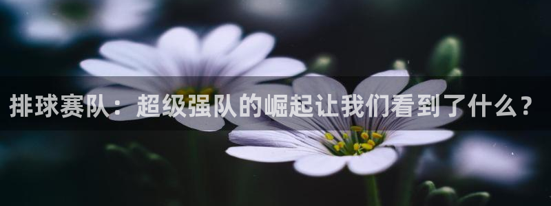  jn江南·体育最新官网入口：排球赛队：超级强队的崛起让我们看